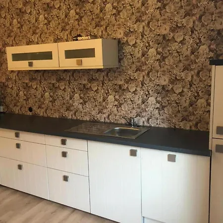 In Nahe Skipisten Holiday home