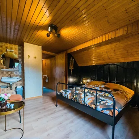 Vakantiehuis In Willingen Nahe Skipisten