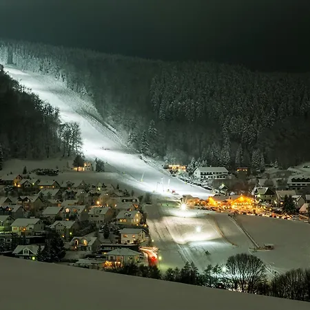 Vakantiehuis In Willingen Nahe Skipisten *