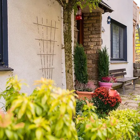 Vakantiehuis In Willingen Nahe Skipisten *