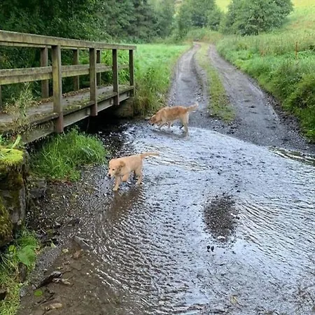 In Willingen Nahe Skipisten *