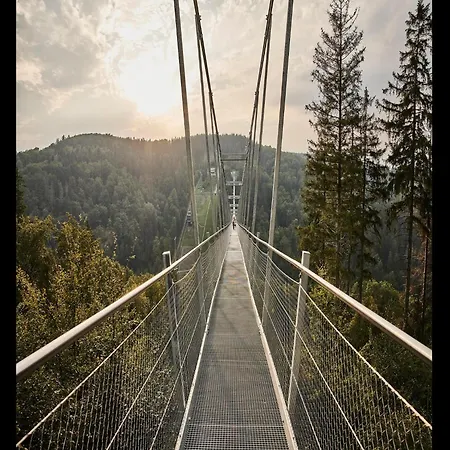 In Willingen Nahe Skipisten Vakantiehuis *
